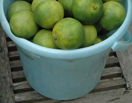 1380945547-3264123681