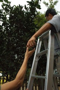 1380945547-801294782