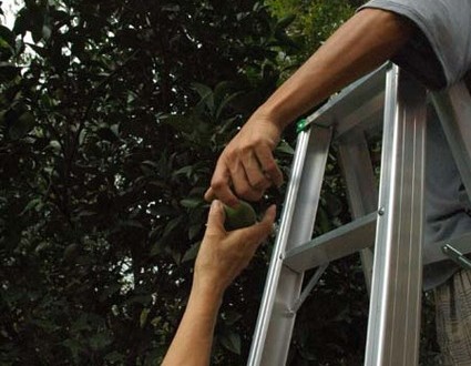 1380945547-801294782