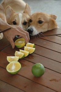 1380945548-2737143020