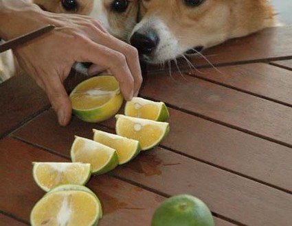 1380945548-2737143020