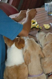 1380945548-4060157740