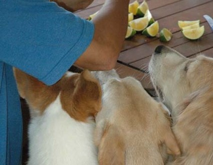 1380945548-4060157740