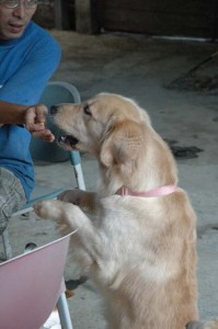 1380945549-1231974254