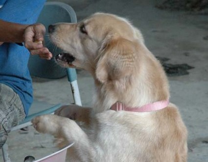 1380945549-1231974254