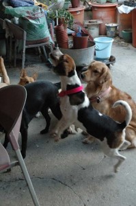 1380945549-2467535728