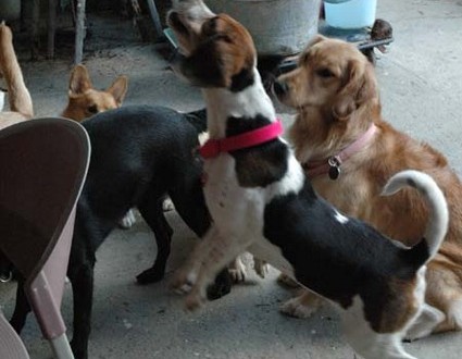 1380945549-2467535728