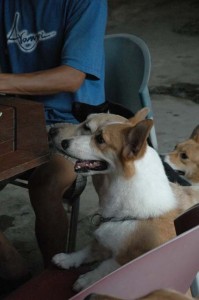 1380945549-3494038590