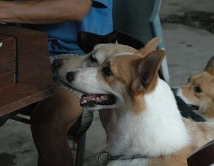 1380945549-3494038590