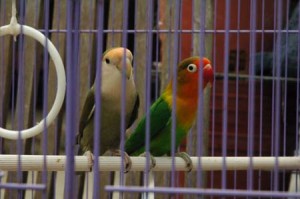 1380945550-4158061364