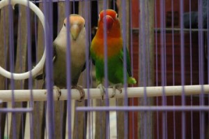 1380945551-2535773499