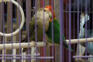 1380945551-967459350