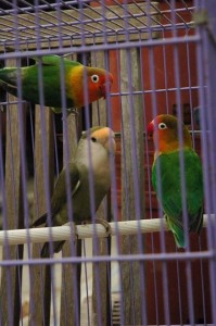 1380945552-2057106550