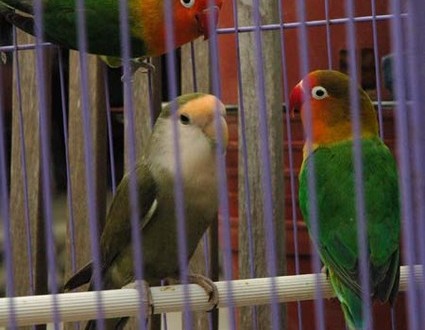 1380945552-2057106550