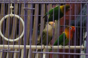 1380945552-2383595364