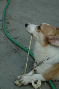 1380945553-4122816963