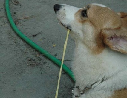 1380945553-4122816963