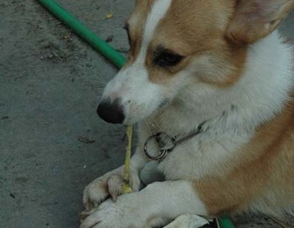 1380945554-1512663899