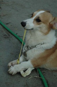 1380945555-3804299738