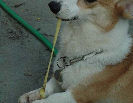 1380945555-3804299738