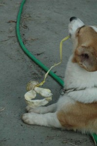 1380945555-4079601597