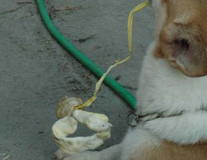 1380945555-4079601597