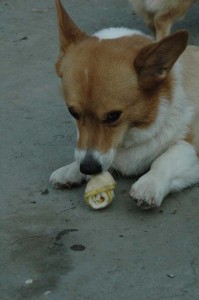 1380945556-3196165696