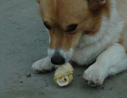 1380945556-3196165696