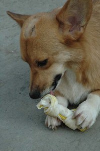 1380945556-4130691325