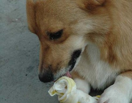 1380945556-4130691325