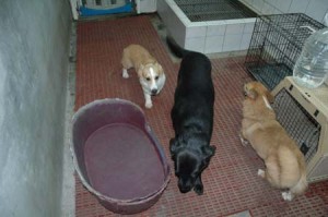 1380945566-3786439968