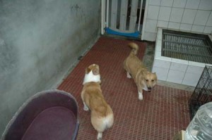 1380945567-126636351