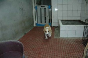 1380945567-1745764025