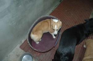 1380945568-2580712457