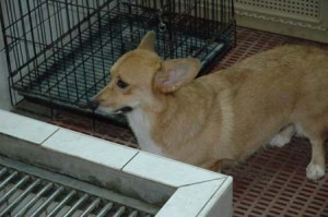 1380945568-3774630137