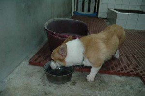 1380945568-3982513296