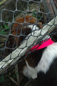 1380945570-1563145089