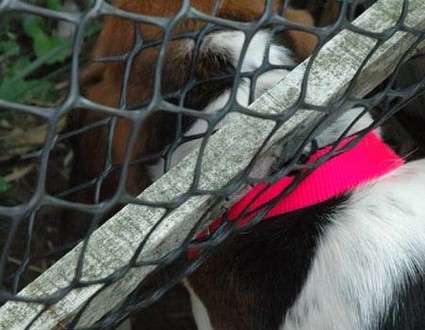 1380945570-1563145089