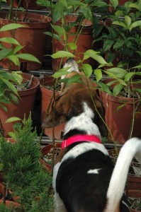 1380945570-3184443740