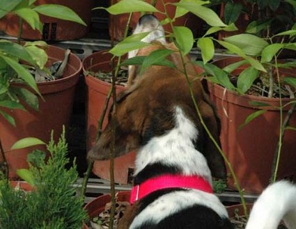 1380945570-3184443740