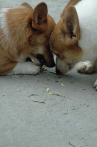 1380945571-1049730203