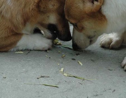 1380945571-1049730203