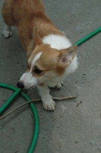 1380945571-1462974775