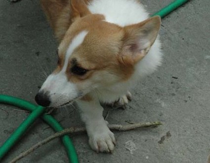 1380945571-1462974775