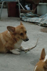 1380945571-3928157273