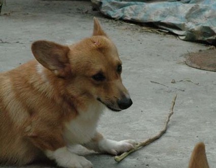 1380945571-3928157273