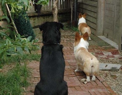 1380945572-3627763464