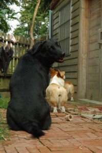 1380945573-2390481574