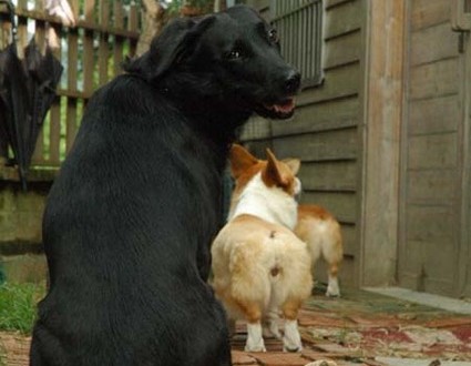 1380945573-2390481574