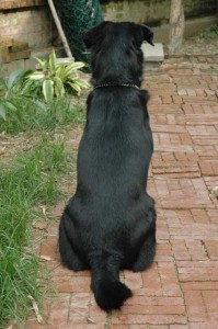 1380945573-3523924828